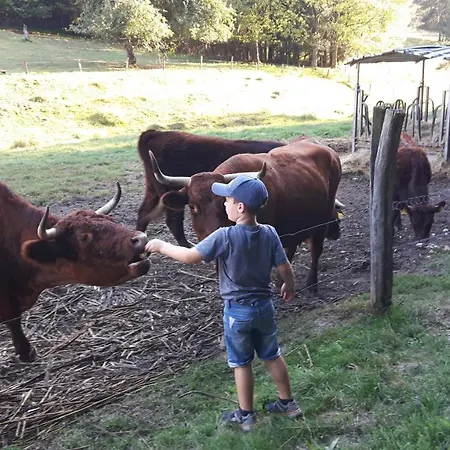 Dorfschmiede * Schönau