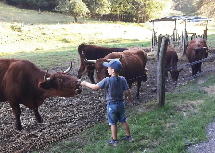 Dorfschmiede * Schönau